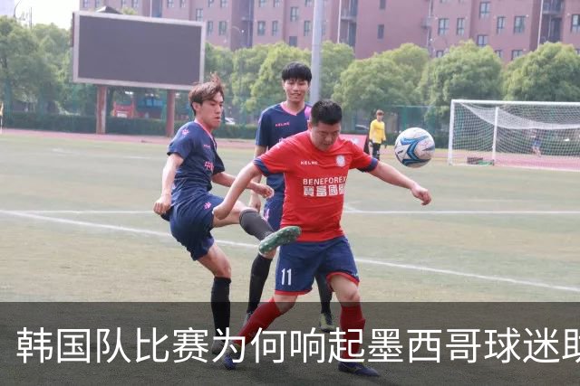 韩国队比赛为何响起墨西哥球迷助威声 奇妙的缘分源自8年前